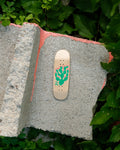 30mm